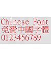 Wang han zong Copy Song typeface Font
