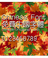 Han yi Xi zhong yuan Font-Traditional Chinese