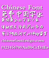 Chen guang Da zi Font-Simplified Chinese