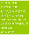 EPSON Zheng kai shu ti Font-Traditional Chinese