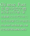 Jin Mei New dian zi Font-Traditional Chinese