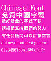 Jin Mei The tortoise shell Font-Traditional Chinese