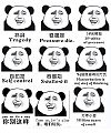 Panda Emoticon Download