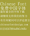 Hua kang Jian song-GB Font- Simplified Chinese