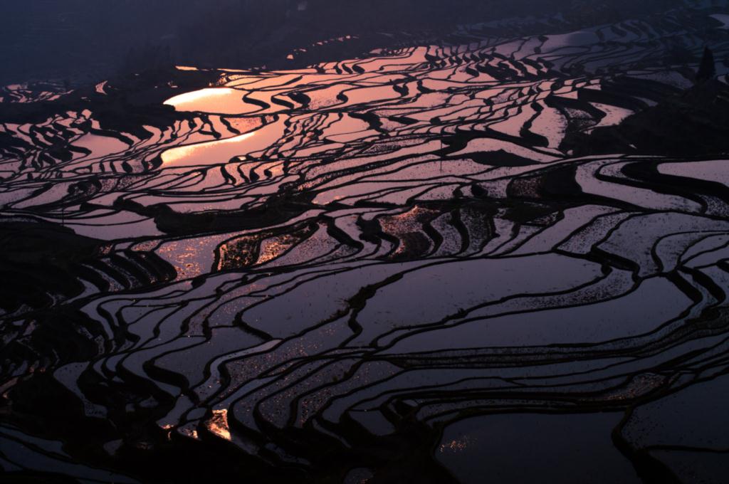Terraced Rice Field Photo-Rice terrace fields in Yunnan