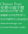 Fang zheng New xiu li Font-Traditional Chinese