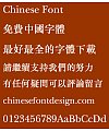 Meng na Zhong song(MSungHK-Medium)Font – Traditional Chinese
