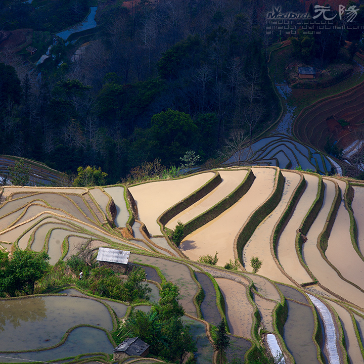 80 Terraces are another world-The beautiful scenery in hd photos in China