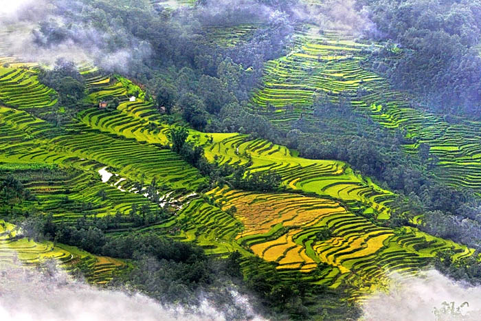 80 Terraces are another world-The beautiful scenery in hd photos in China
