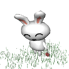 3D Little White Rabbit Emoticons gif