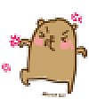 40 The lovely marmots emoticons gif
