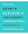 Zao zi Gong fang Simsun(non-commercial) conventional Font-Traditional Chinese
