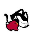 16 Rogue cat emoticons emoji gifs download