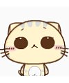 140 CC cat gif emoticons download