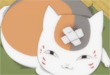 50 Carefree cat emoticons emoji download