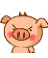 17 Super cute little pig emoticons emoji download