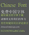 Wang han zong New Tiny Song typeface Font-Simplified Chinese
