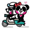 Cute Panda (Pandaluv) MSN Chat Emoticons