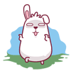 Lovely fat rabbit animated free emoticons downloads
