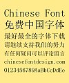 Zao zi Gong fang Golden Section Simsun Font-Simplified Chinese