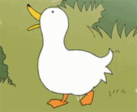 36 Lovely funny duck gifs emoji