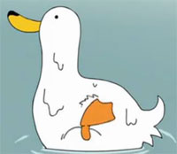 36 Lovely funny duck gifs emoji