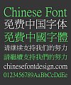 Ting Ming Song (Ming) Typeface Chinese Font-Simplified Chinese Fonts-Traditional Chinese
