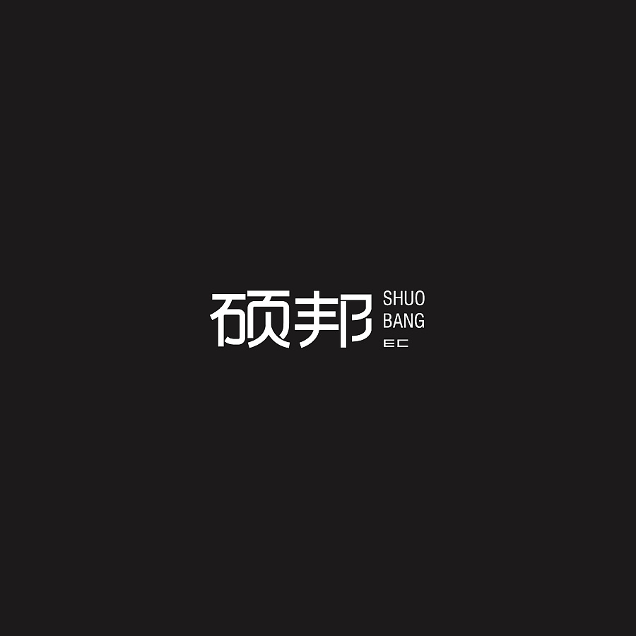 18P Creative Chinese fonts logo design plan of the enterprise