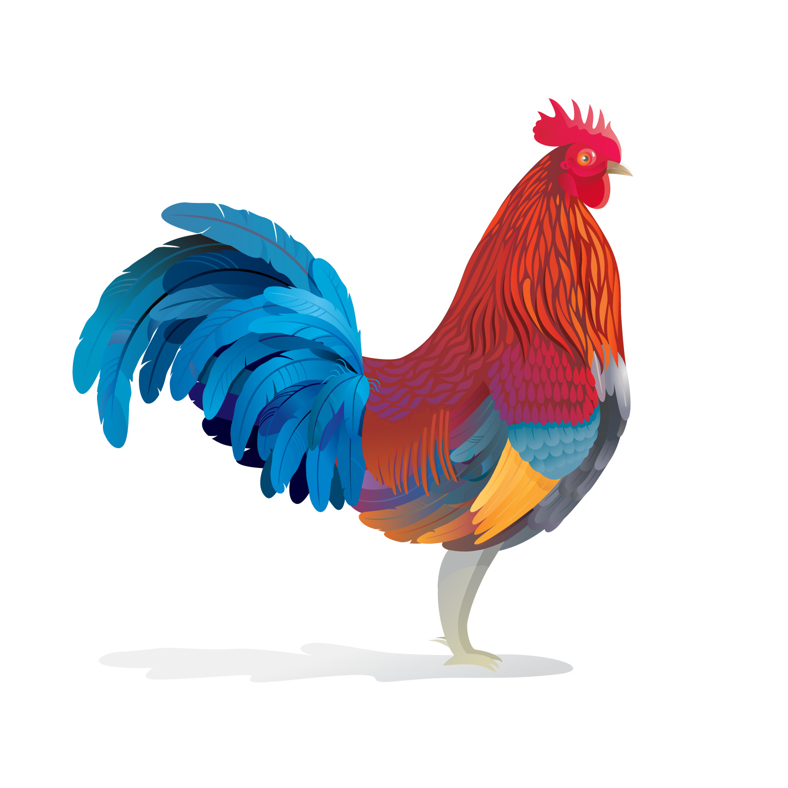 The cock illustration design vector diagram ai free download