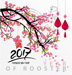 Permalink to 2017 Plum flowers Greeting card vector diagram China Illustrations Vectors AI ESP