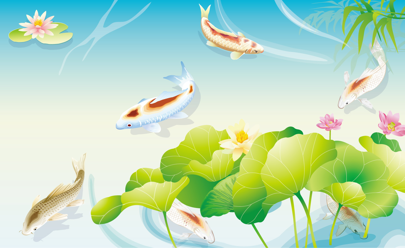 Chinese traditional pond carp lotus image vector material - China Illustrations Vectors AI ESP