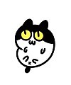 16 Cute Cat Forum Chat Expression Image emoji gifs free download