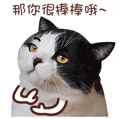 24 I want to become a cat emoji gifs emoticons download