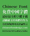 Free Commercial Use! SoukouMincho – Song (Ming) Typeface Chinese Font – Traditional Chinese Font Fonts