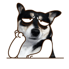 24 Super funny husky dog gifs emoji emoticons downloads