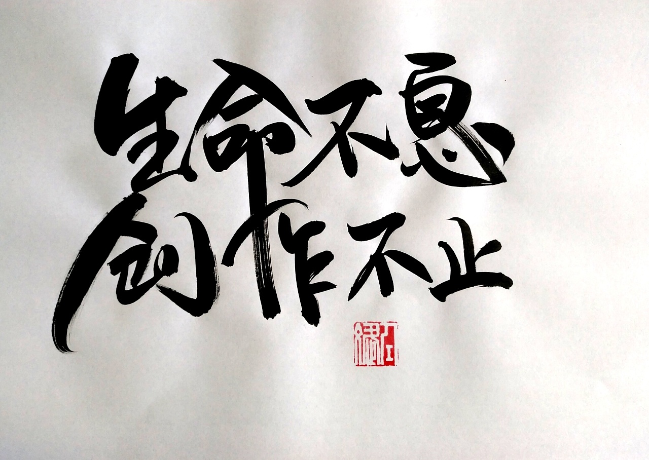 46P  Daily Chinese brush calligraphy font writing exercises show