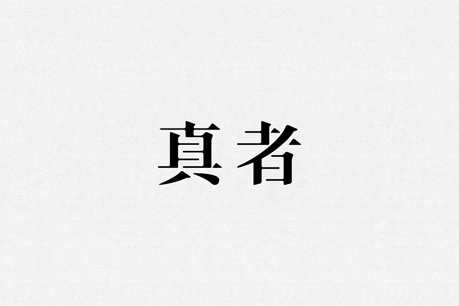15P Creative Chinese font logo design scheme #.46