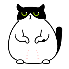 16 Wuli Cat iPhone 8 Emoji Gifs Free Donload Emoticons
