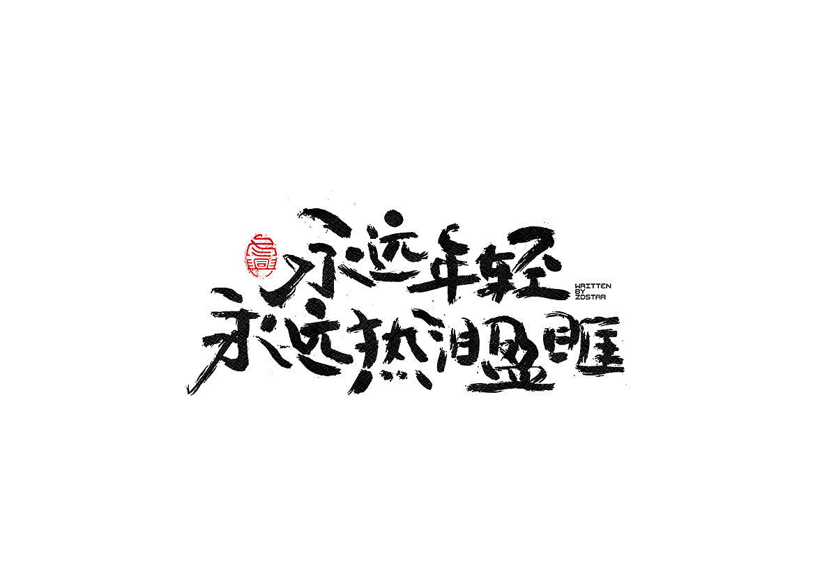 30P Chinese traditional calligraphy brush calligraphy font style appreciation #.48