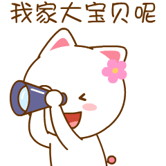 24 Cute kitty WeChat facial expression picture emoji gifs