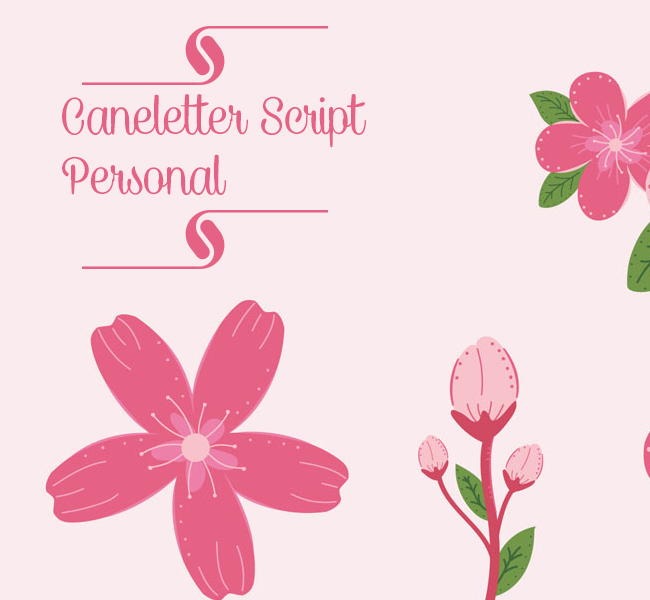 Caneletter Script Personal Use Font Download