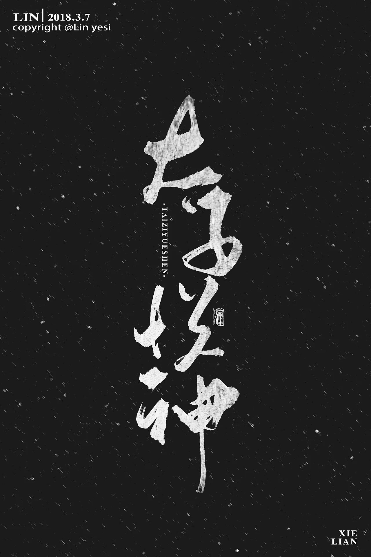 12P Chinese traditional calligraphy brush calligraphy font style appreciation #106
