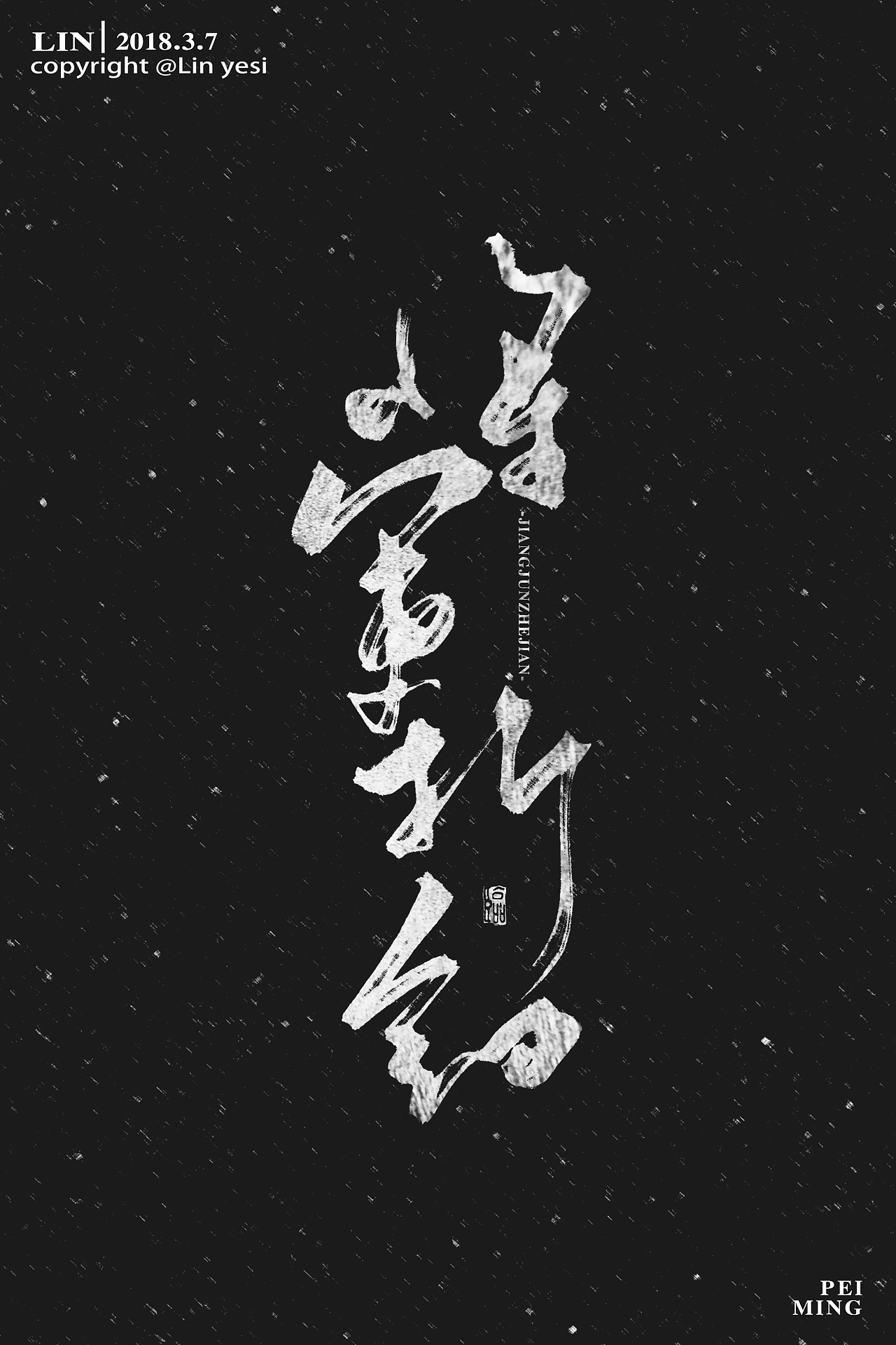 12P Chinese traditional calligraphy brush calligraphy font style appreciation #106