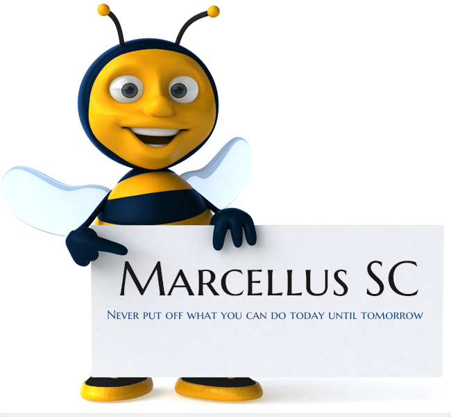 Marcellus SC Font Download