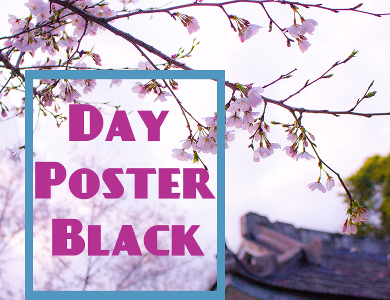 Day Poster Black Font Download