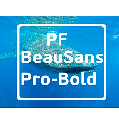 Permalink to PF Beau Sans Pro Bold Font Download