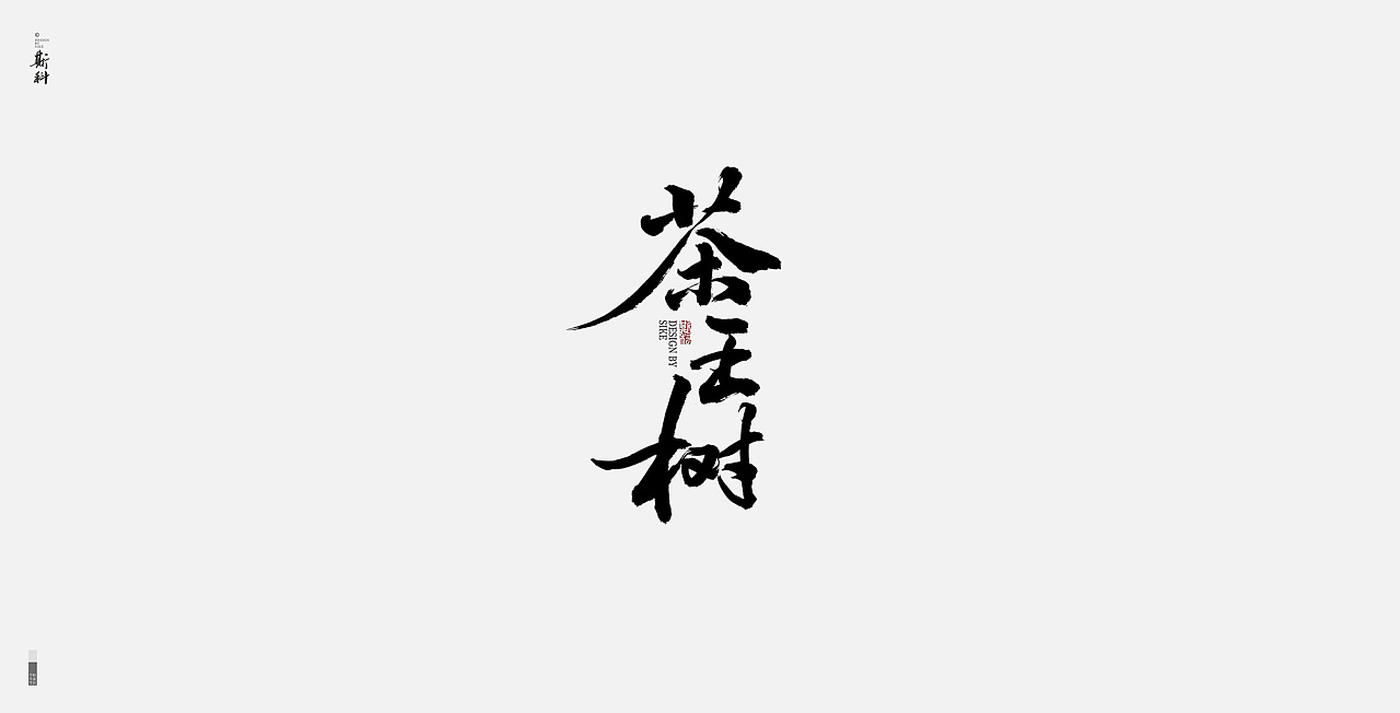 13P Chinese traditional calligraphy brush calligraphy font style appreciation #.315