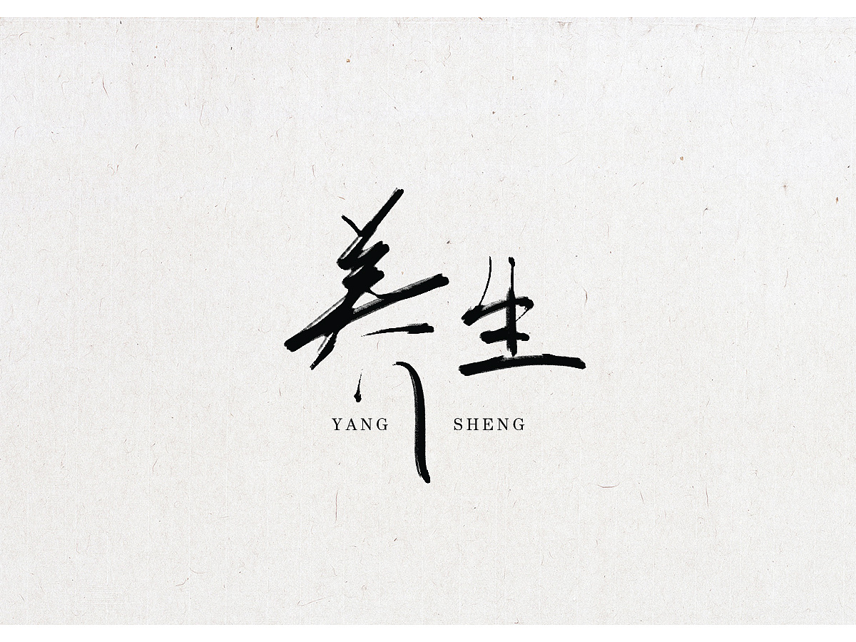 11P Chinese traditional calligraphy brush calligraphy font style appreciation #.339