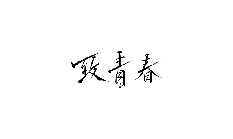 18P Chinese traditional calligraphy brush calligraphy font style appreciation #.353