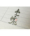 11P Chinese traditional calligraphy brush calligraphy font style appreciation #.575